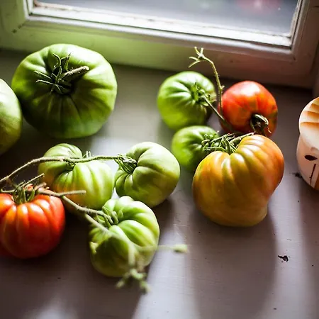 Ferienhaus Grand Balaton House Kovagoors