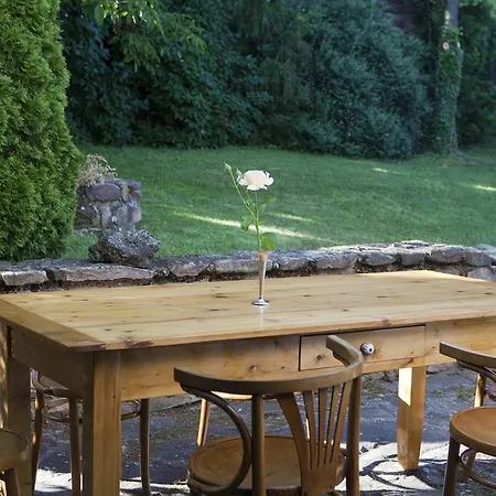 Grand Balaton House Ferienhaus *