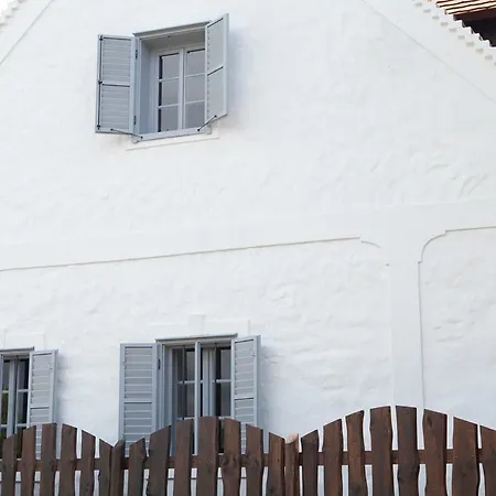 펜션 Grand Balaton House Kovagoors