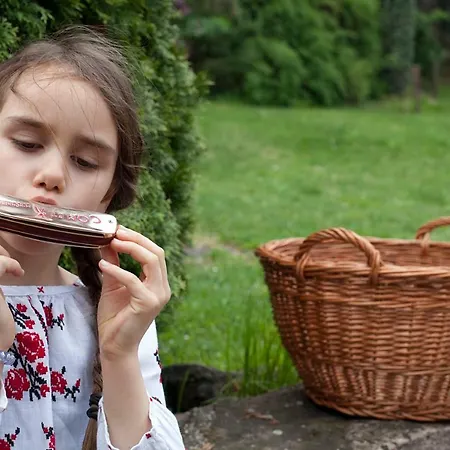 Ferienhaus Grand Balaton House