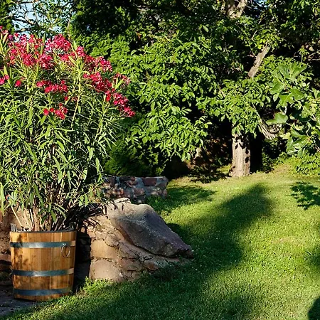 Grand Balaton House Ferienhaus Kovagoors