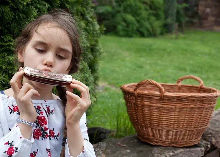 別荘 Grand Balaton House