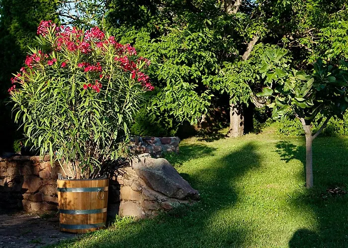 Grand Balaton House 別荘 Kővágóörs